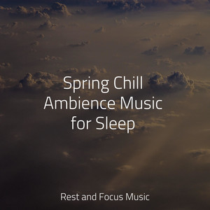 Spring Chill Ambience Music for Sleep album