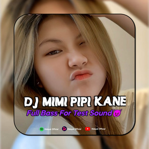 DJ PIPI MIMI V1