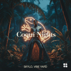 Coquí Nights by Skylo, Vibe Yard