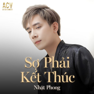 Sợ Phải Kết Thúc (Việt Thereonn Remix)