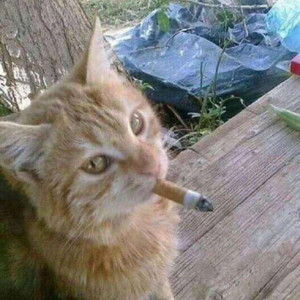 wrong person wrong time..,