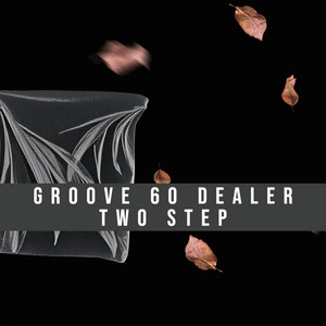 Two Step - Radio Edit by Groove 60 Dealer