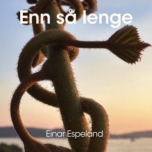 Enn så lenge by Einar Espeland