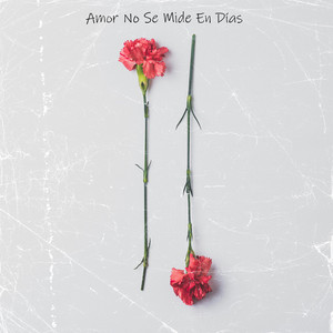 Amor No Se Mide En Días by Virality Music