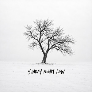 You Ruined Dying For Me - Special Version by Sunday Night Low