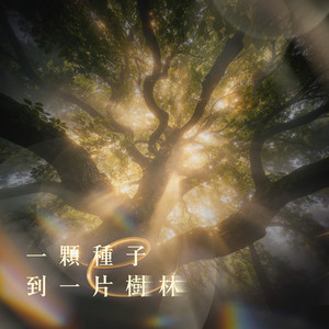 一顆種子到一片樹林 by 新店行道會