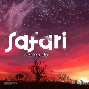 Safari by Declan DP