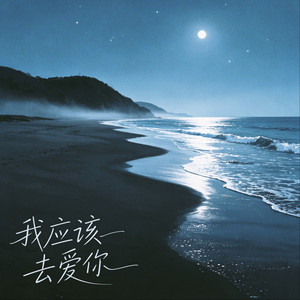 我应该去爱你 (全世界还有谁) - DJ版伴奏 by 袁东野