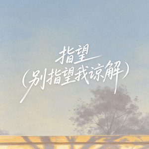 指望（别指望我谅解） by 大头针R&B