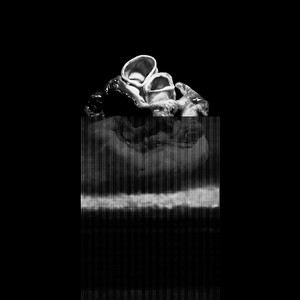 Magnetic Heart by Pair
