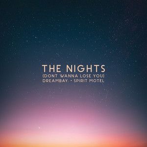 The Nights (Don't Wanna Lose You)