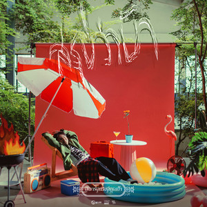 สรุปว่าบ้า (ซนซน 40 ปี GMM GRAMMY)