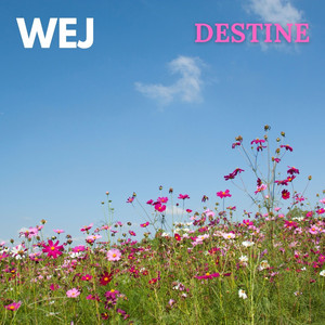 Wej cover