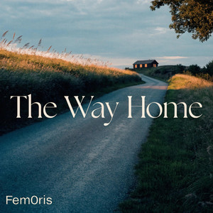 The Way Home by Fem0ris