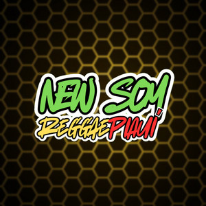 MELÔ DE MAYARA 2016 - REGGAE REMIX (FEUDDY) by New Som Reggae Piauí