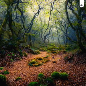 sanctuary by aronsmith