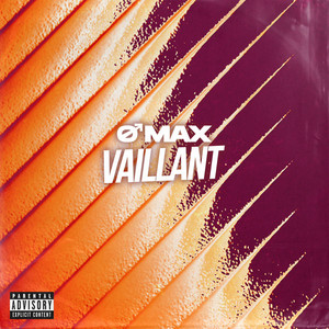 VAILLANT