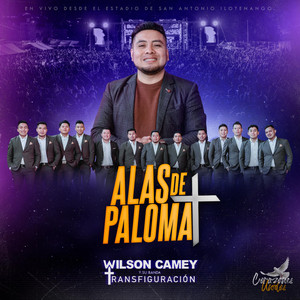 Wilson Camey - Alas de Paloma
