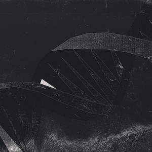 JUDGIN FROM EXPERIENCE by Lord Lorenz