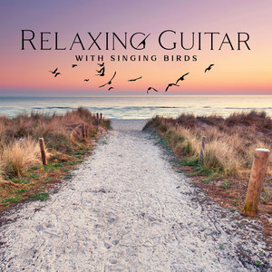 Relaxing Guitar with Singing Birds: Sunrise Meditation & Calming Nature Sounds album