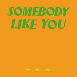 Somebody Like You by The Magic Gang