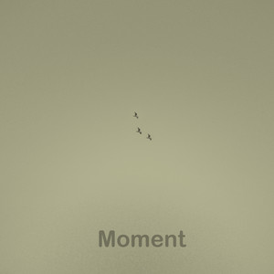Moment