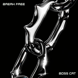 Break Free - Nightcore by Boss Cat
