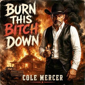 Burn this Bitch Down by Cole Mercer
