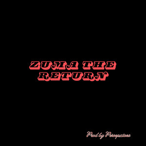 Portada de Zuma the Return