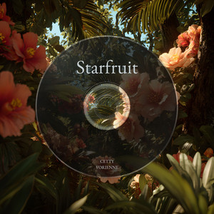Starfruit by Cetty Vorienne