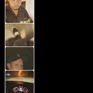 Chom Chumkasian - มด