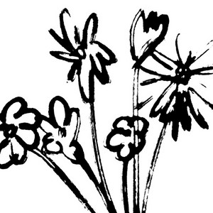 Fares — PRIMAVERA (2026)