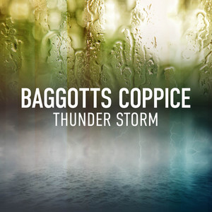 Baggotts Coppice Thunder Storm album