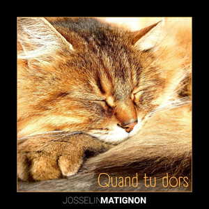 Quand tu dors by Josselin Matignon