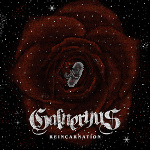GALNERYUS INTO THE PURGATORY メンバーサイン入り Galneryus - Into The Purgatory CD Box Set (w/ T-shirt) Size M/S