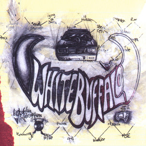 Not Invisible by White Buffalo