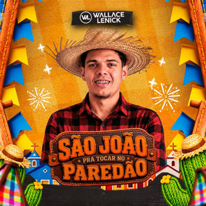 Mâe, Eu To Gostando Dela by Wallace Lenick