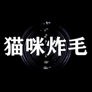 DJxiaoke - 猫咪炸毛