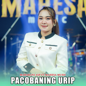 Maharani Asp - Pacobaning Urip (feat. Mahesa Music)