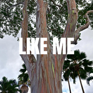 LIKE ME by LOKASO