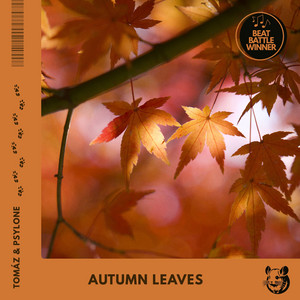 Autumn Leaves by Tomáz, Psylone