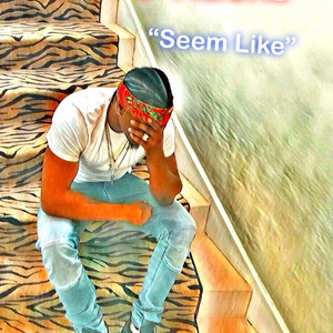 Seem Like by O Racks