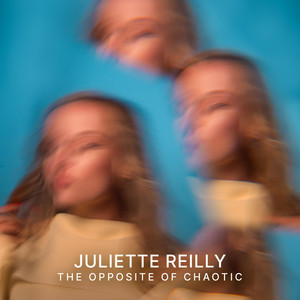 The Opposite Of Chaotic by Juliette Reilly