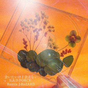 会いたいけど会えない - Remix by S.A.D Force, J.ReZARD