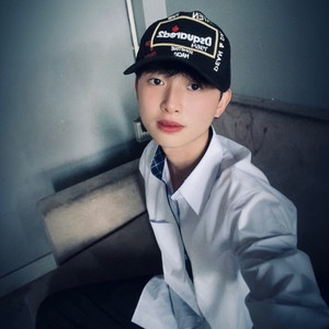 Tình nhạt phai