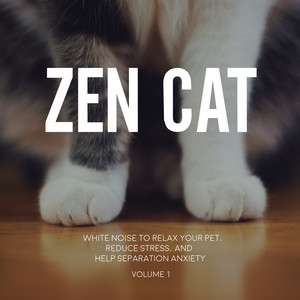 Zen Cat - Beach Sounds for Cats: Splashing Tides