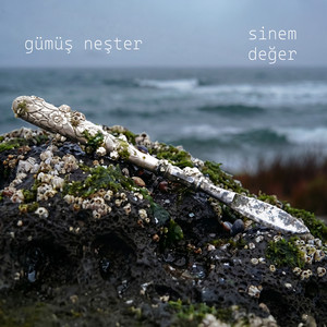 Gümüş Neşter by Sinem Değer