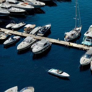 TRILLBILL - MONACO BUNNY