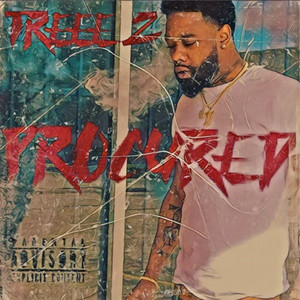 Bitch Made Nigga by TreeeZ, RBC Bugzy
