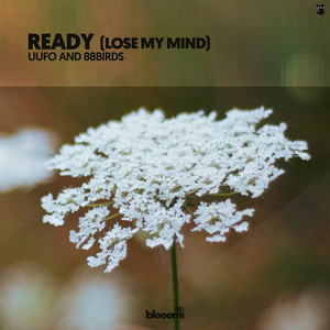 Ready (Lose My Mind) by UUFO, 88Birds